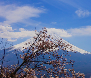 Auto-compassion illustration